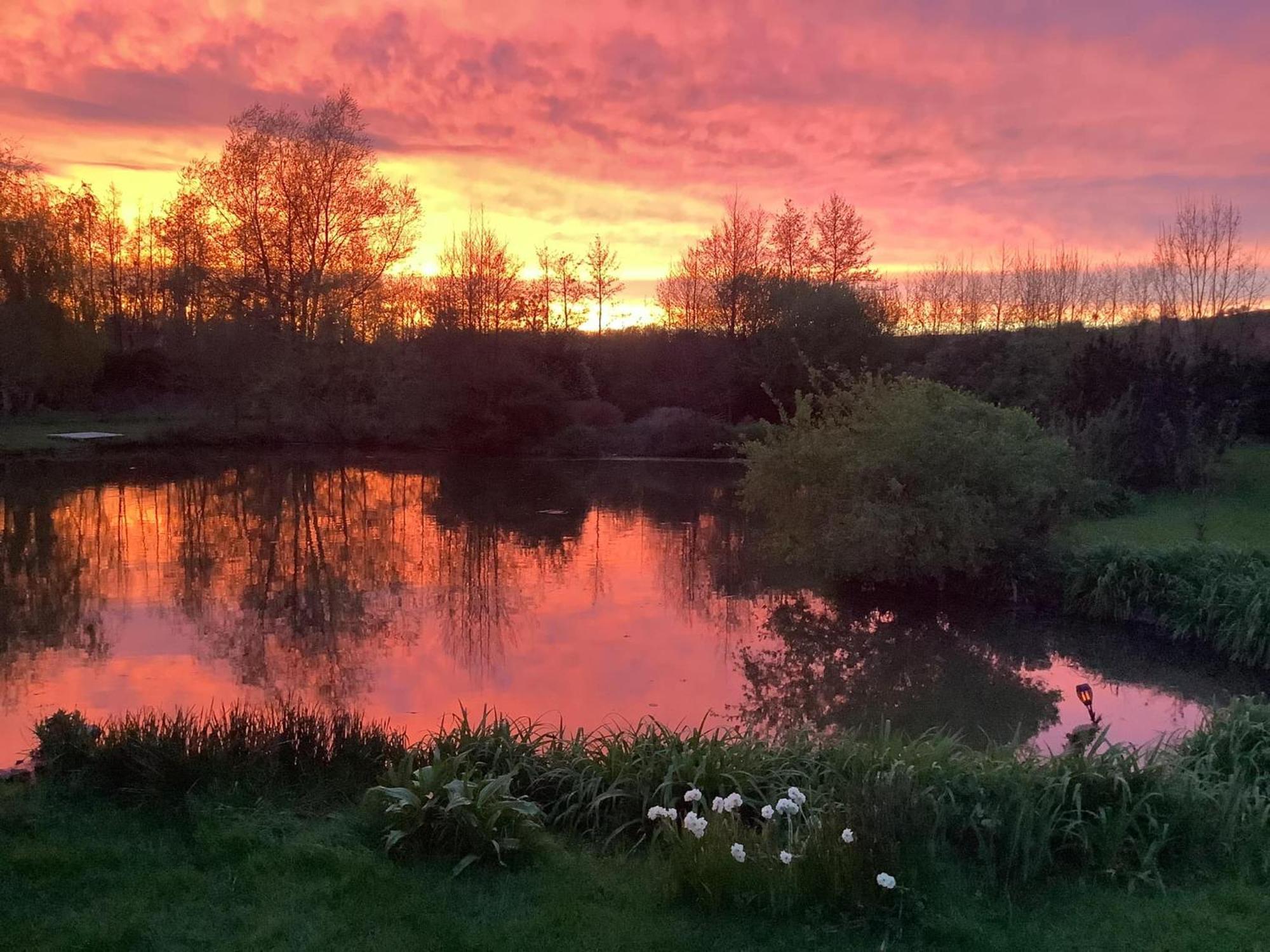 Le Petit Paradis De Marcelise Otel Le Ponchel Dış mekan fotoğraf